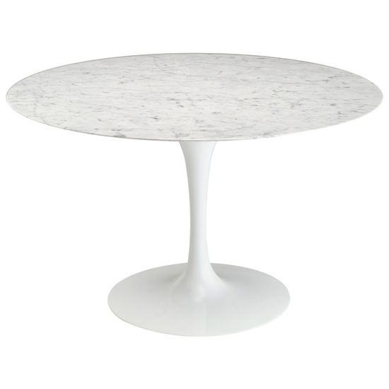 tupr120_bbtv1 tupr120_bbtv1